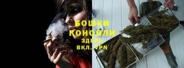 крисы Заводоуковск