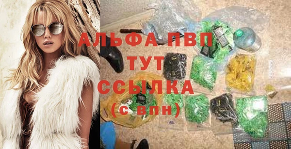 гашик Дмитровск