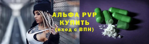 гашик Дмитровск