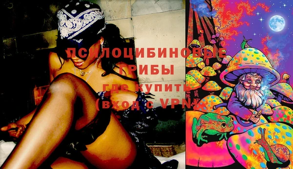 МДМА Дмитриев
