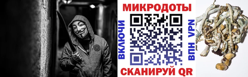 Псилоцибиновые грибы Psilocybine cubensis  Купить  Кировград 